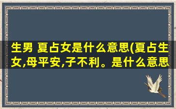 生男 夏占女是什么意思(夏占生女,母平安,子不利。是什么意思)